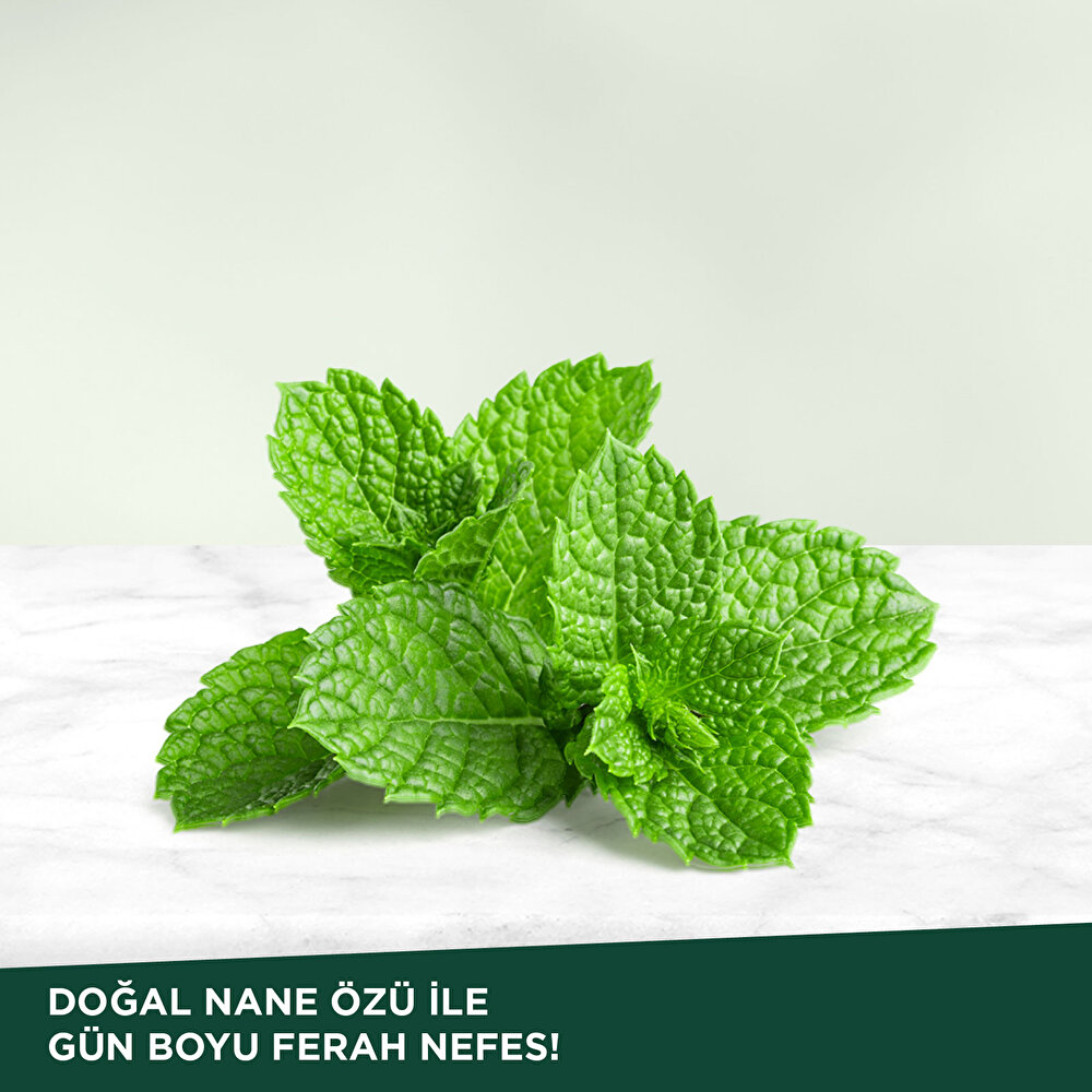 Doğal Nane Özlü Diş Macunu 90 ml
