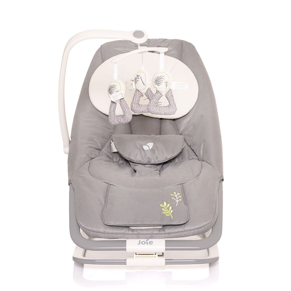 Dreamer Titreşimli Ana Kucağı