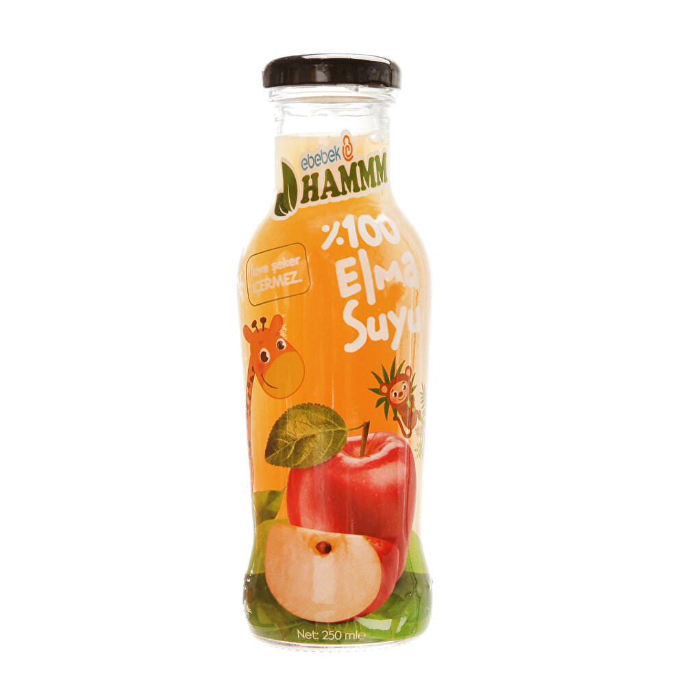 Elma Suyu 250 ml