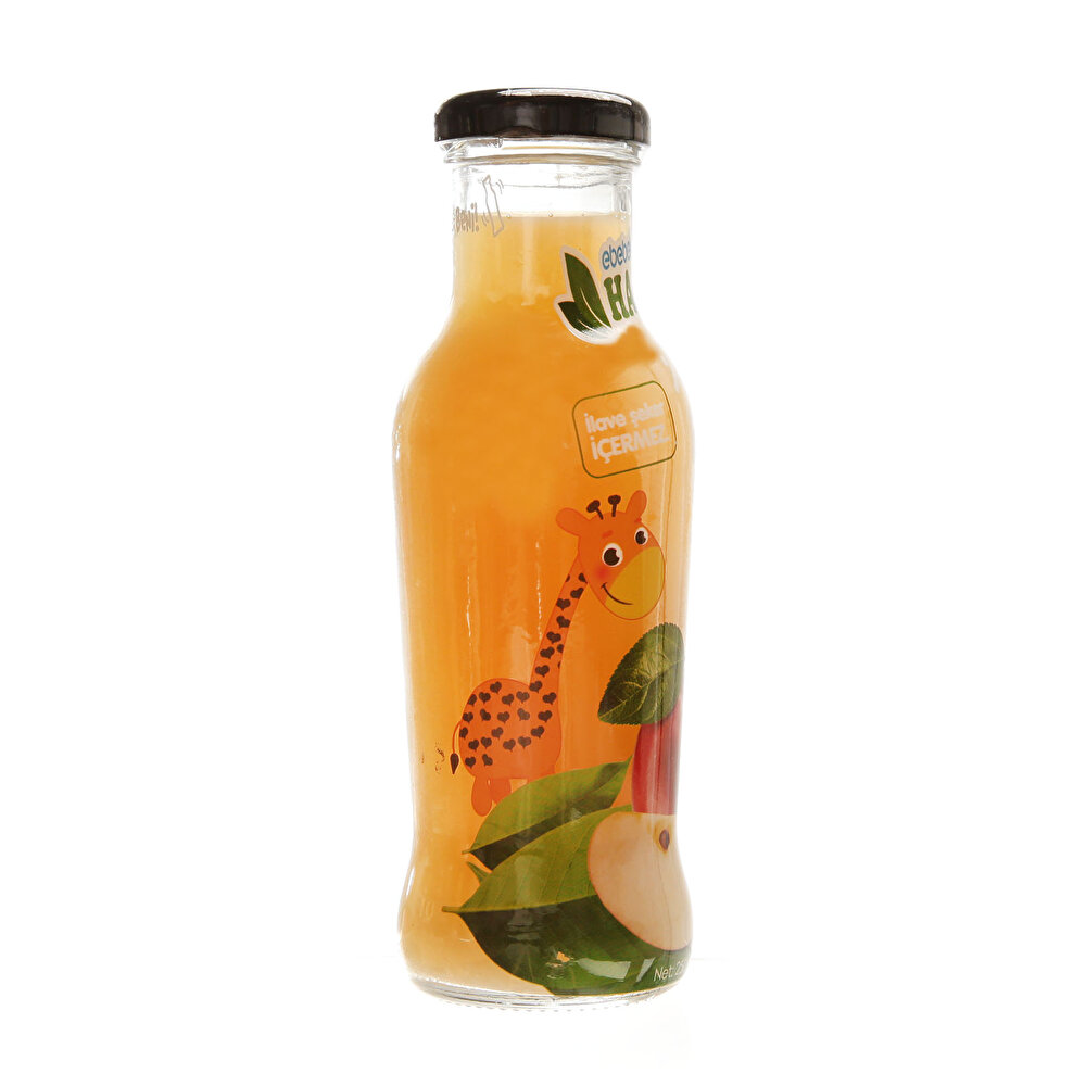 Elma Suyu 250 ml