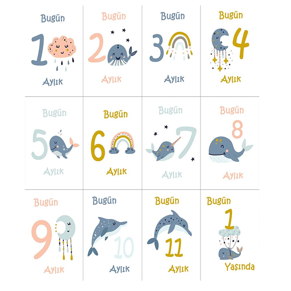 Fil Desenli Erkek Bebek Bornoz Seti ve 12’li Aylık Ay Dönümü Anı Kartları – Bebek Hediyelik