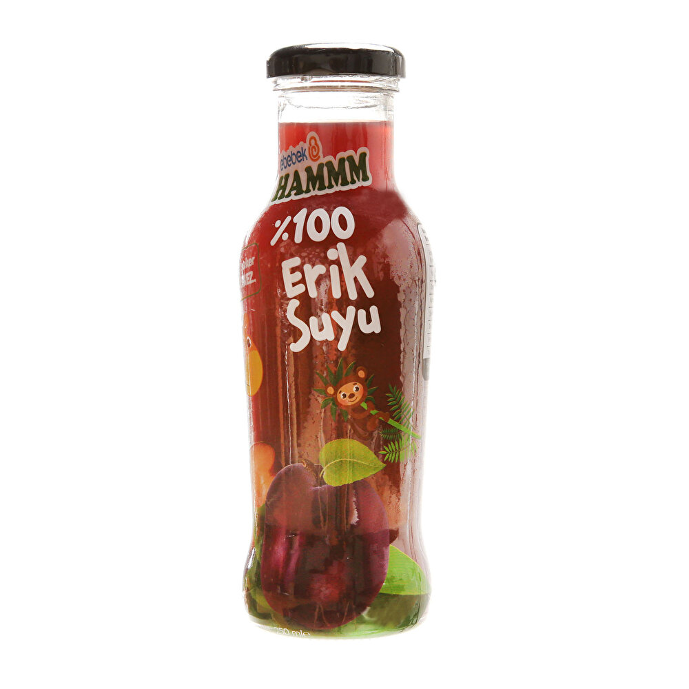 Erik Suyu 250 ml