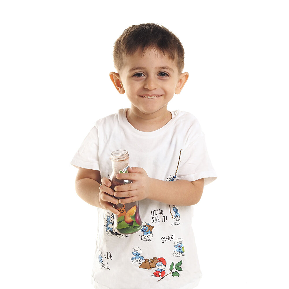 Erik Suyu 250 ml