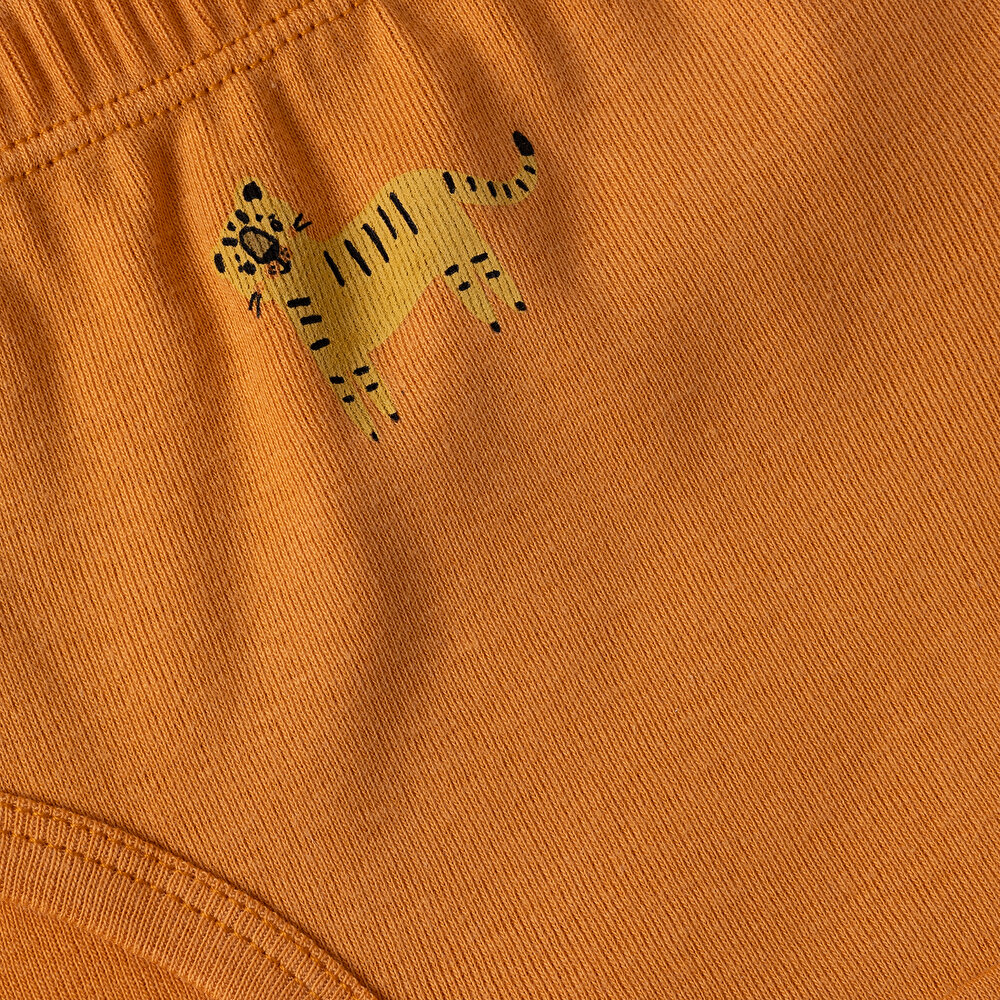 Erkek Bebek 3lü Slip Külot