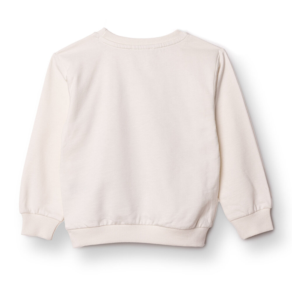 Erkek Bebek Basic Sweatshirt Şardonlu Bisiklet Yaka Uzun Kol