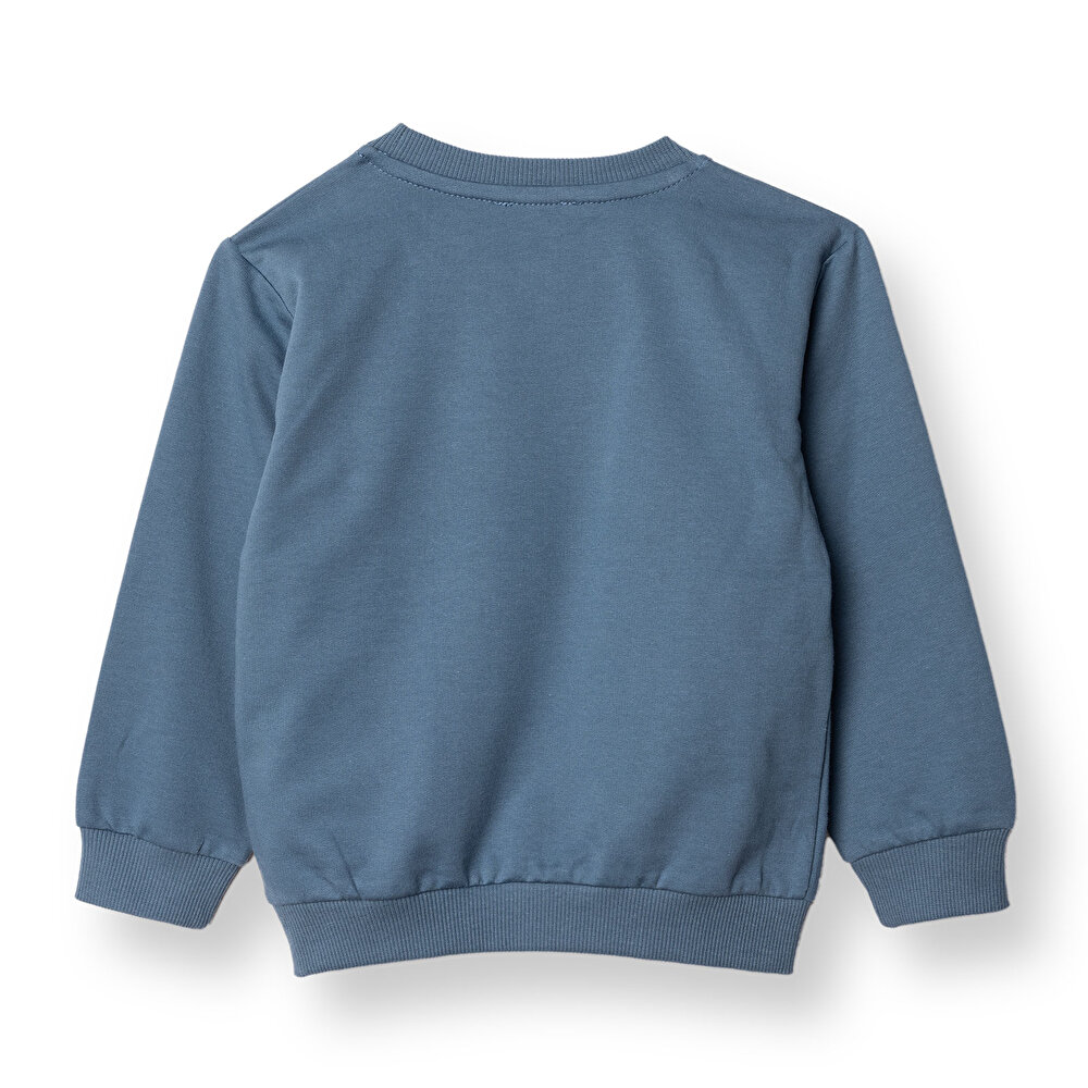 Erkek Bebek Basic Sweatshirt Şardonlu Bisiklet Yaka Uzun Kol