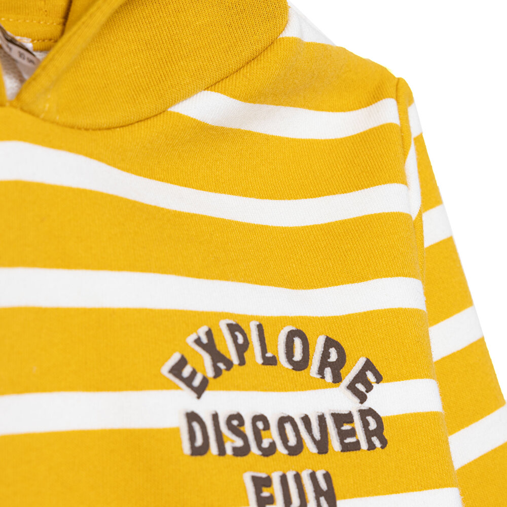 Erkek Bebek Kapüşonlu Sweatshirt Üç İplik Kapüşonlu Yaka Uzun Kol