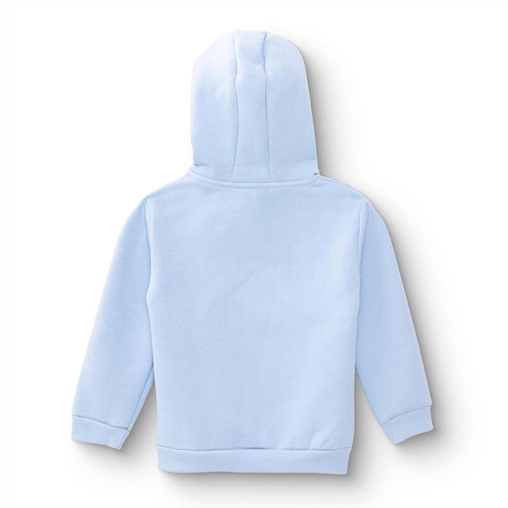 Erkek Bebek Mountain Explorer Kapüşonlu Sweatshirt Şardonlu Üç İplik Uzun Kol