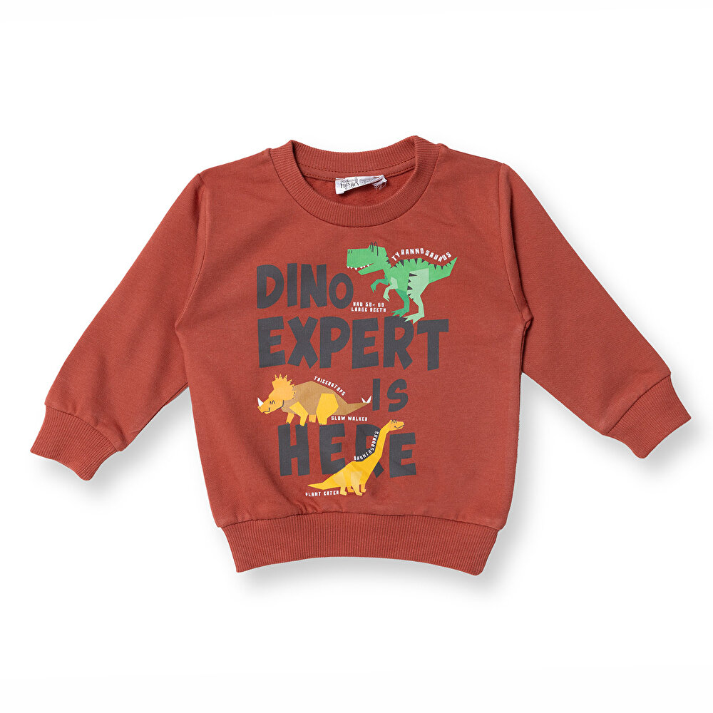 Erkek Bebek Sweatshirt  Dinazor Baskılı Bisiklet Yaka Uzun Kol