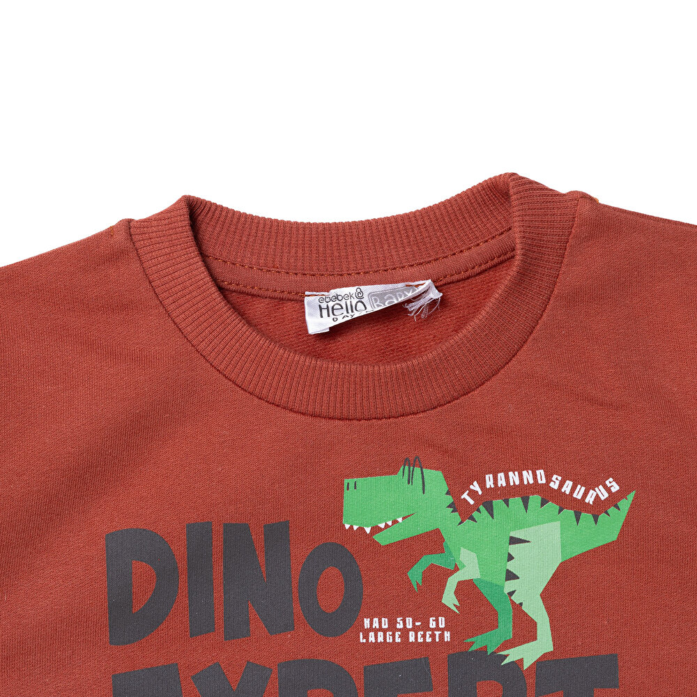 Erkek Bebek Sweatshirt  Dinazor Baskılı Bisiklet Yaka Uzun Kol