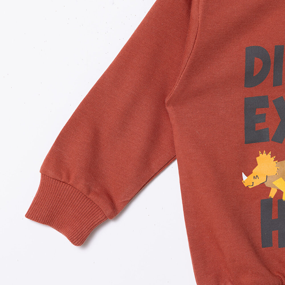 Erkek Bebek Sweatshirt  Dinazor Baskılı Bisiklet Yaka Uzun Kol