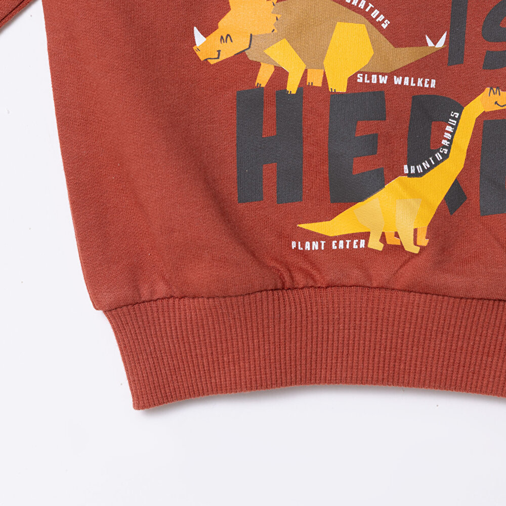 Erkek Bebek Sweatshirt  Dinazor Baskılı Bisiklet Yaka Uzun Kol