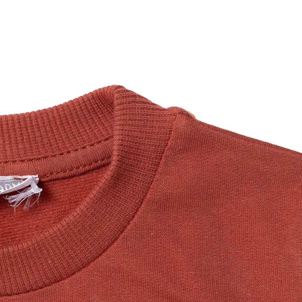 Erkek Bebek Sweatshirt  Dinazor Baskılı Bisiklet Yaka Uzun Kol