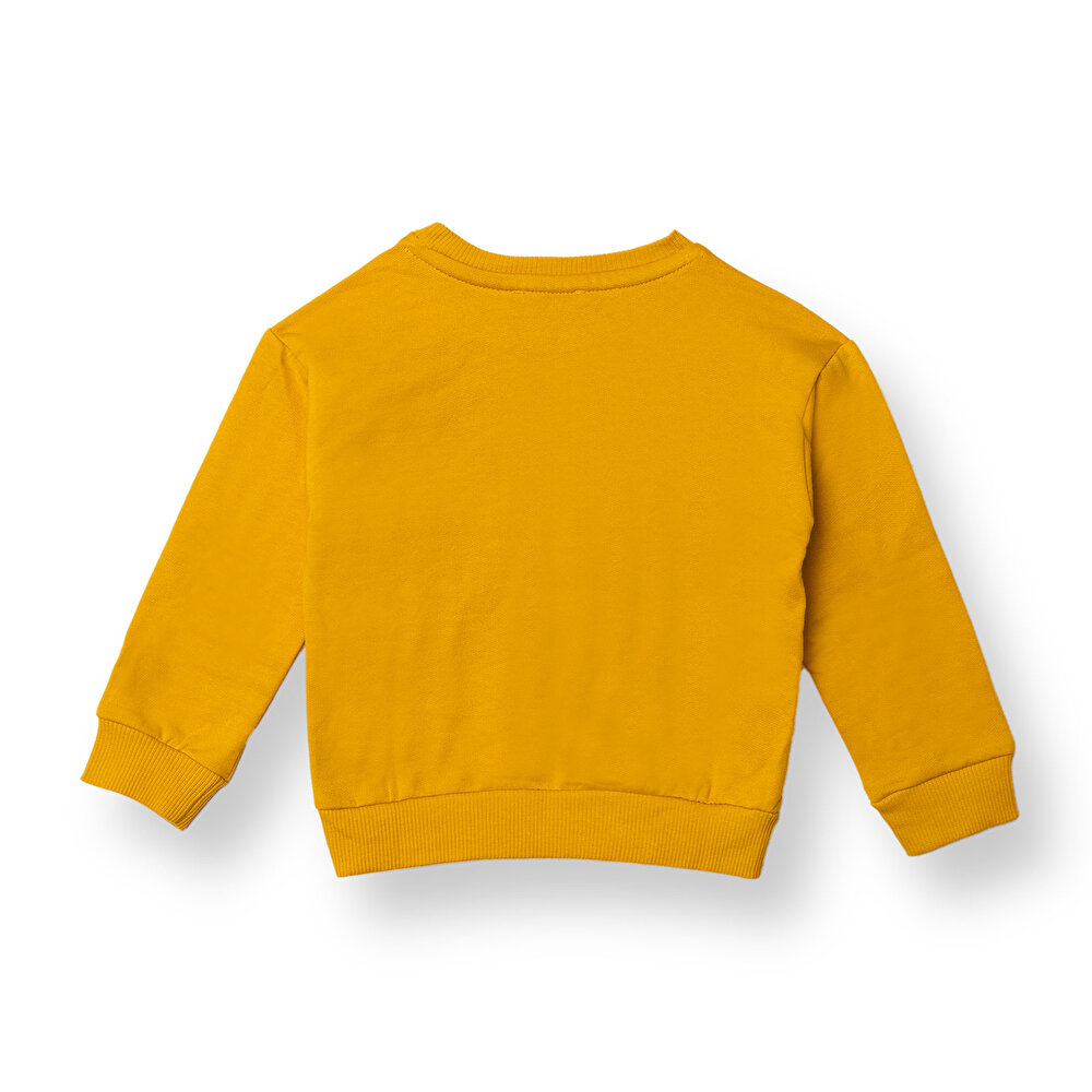 Erkek Bebek Sweatshirt Şardonlu İki İplik Bisiklet Yaka Uzun Kol