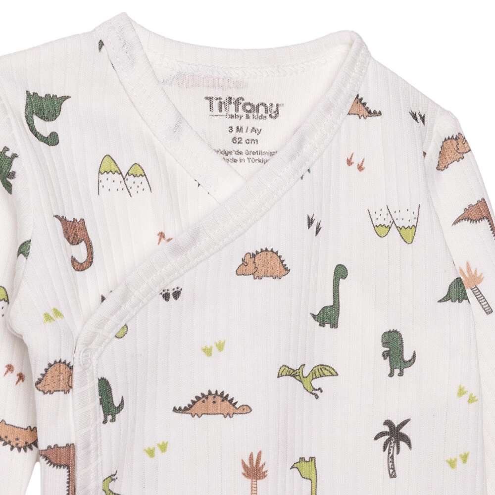 Erkek Bebek Zıbın Body İnterlok V Yaka Uzun Kol