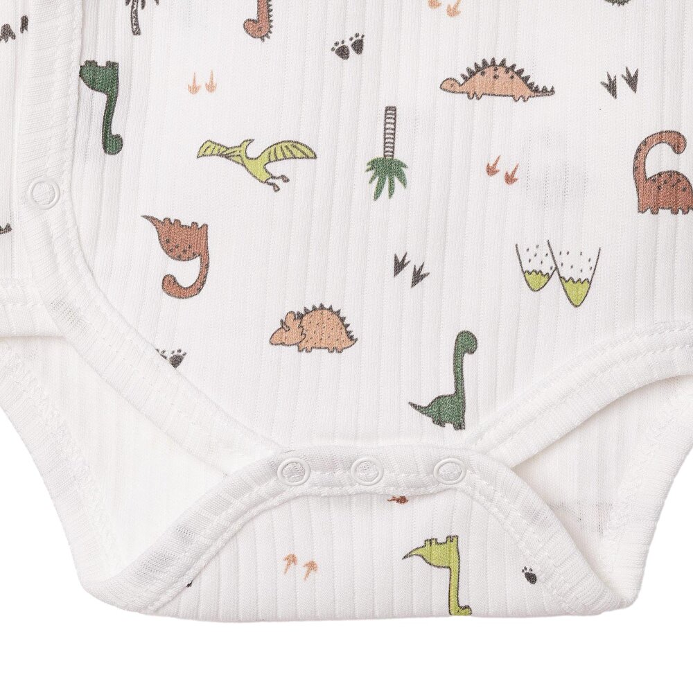 Erkek Bebek Zıbın Body İnterlok V Yaka Uzun Kol