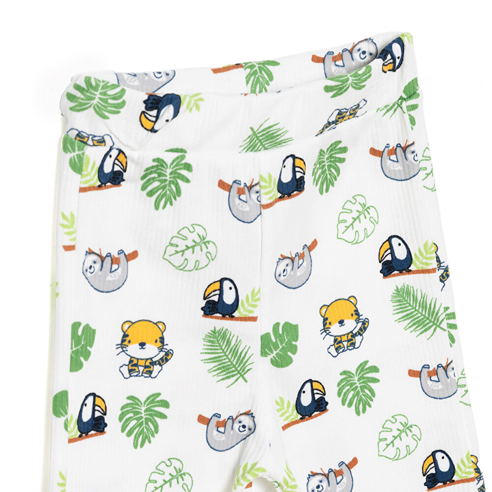 Erkek Patiksiz Alt Erkek Bebek