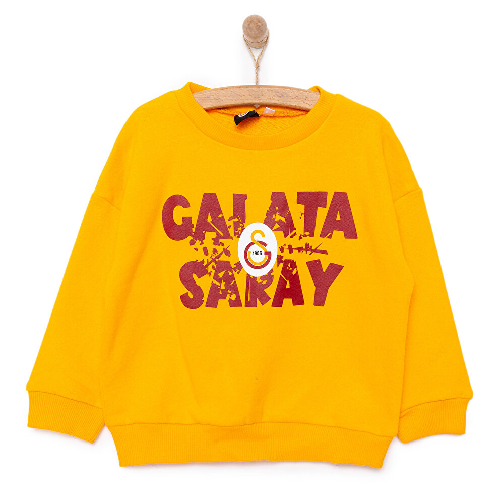 Erkek Sweatshirt Erkek Bebek