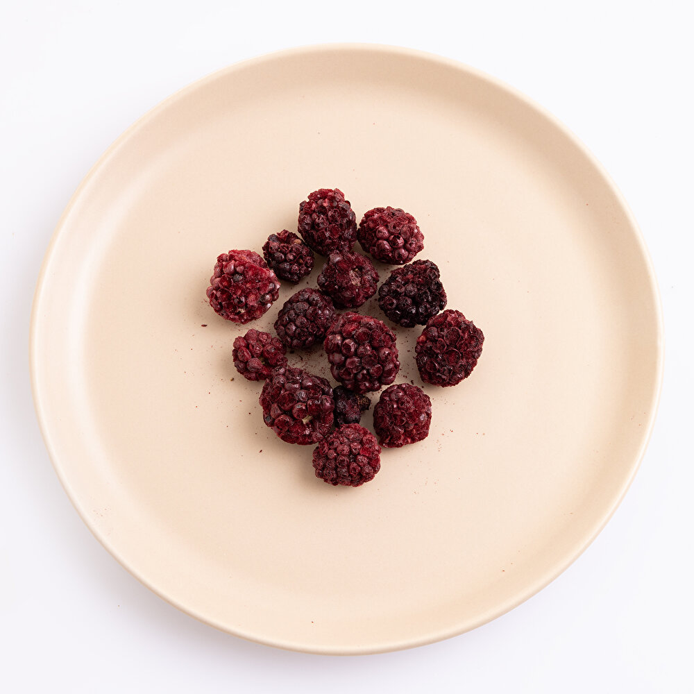 Freeze Fresh  Böğürtlen 20 gr
