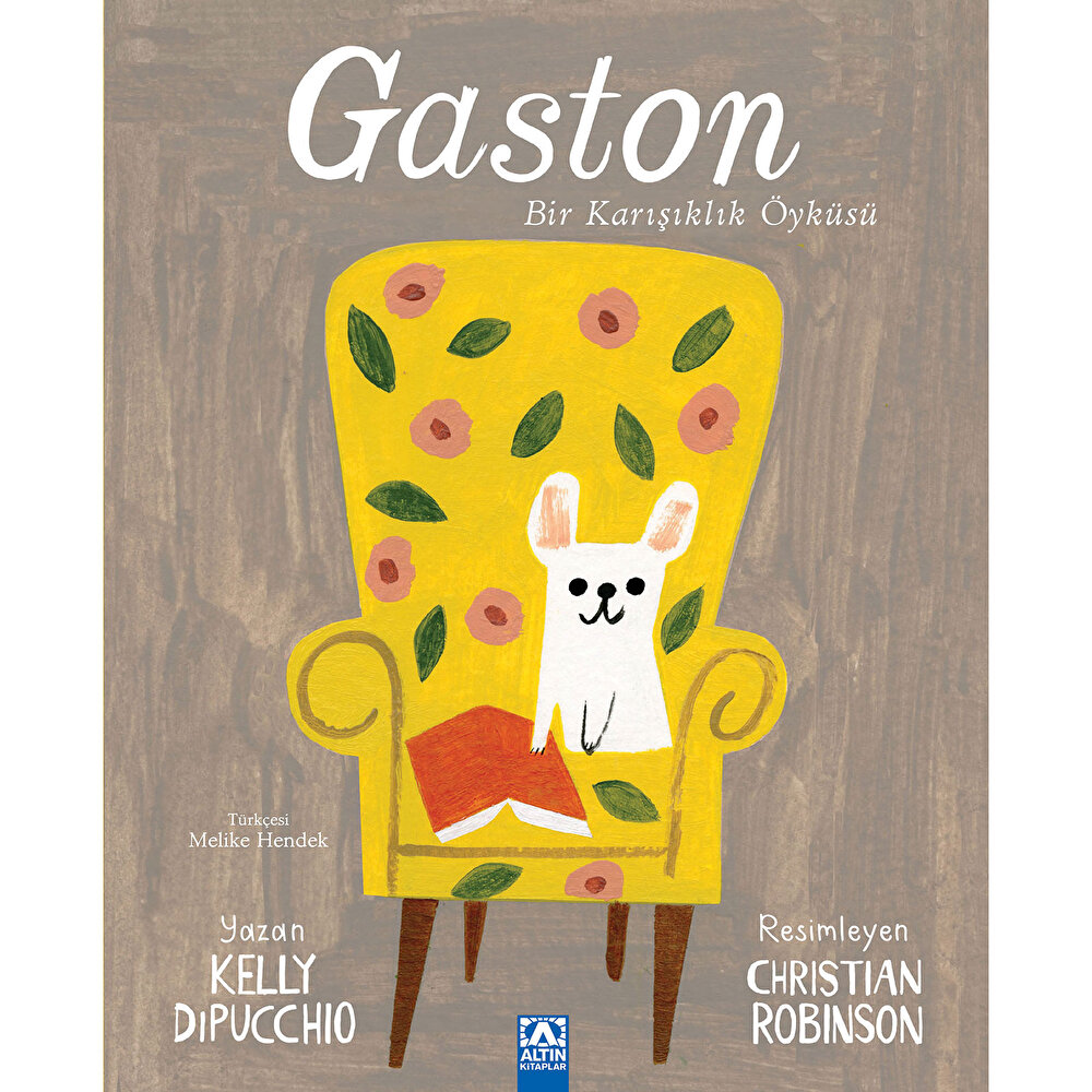 Gaston-Bir Karışıklık Öyküsü