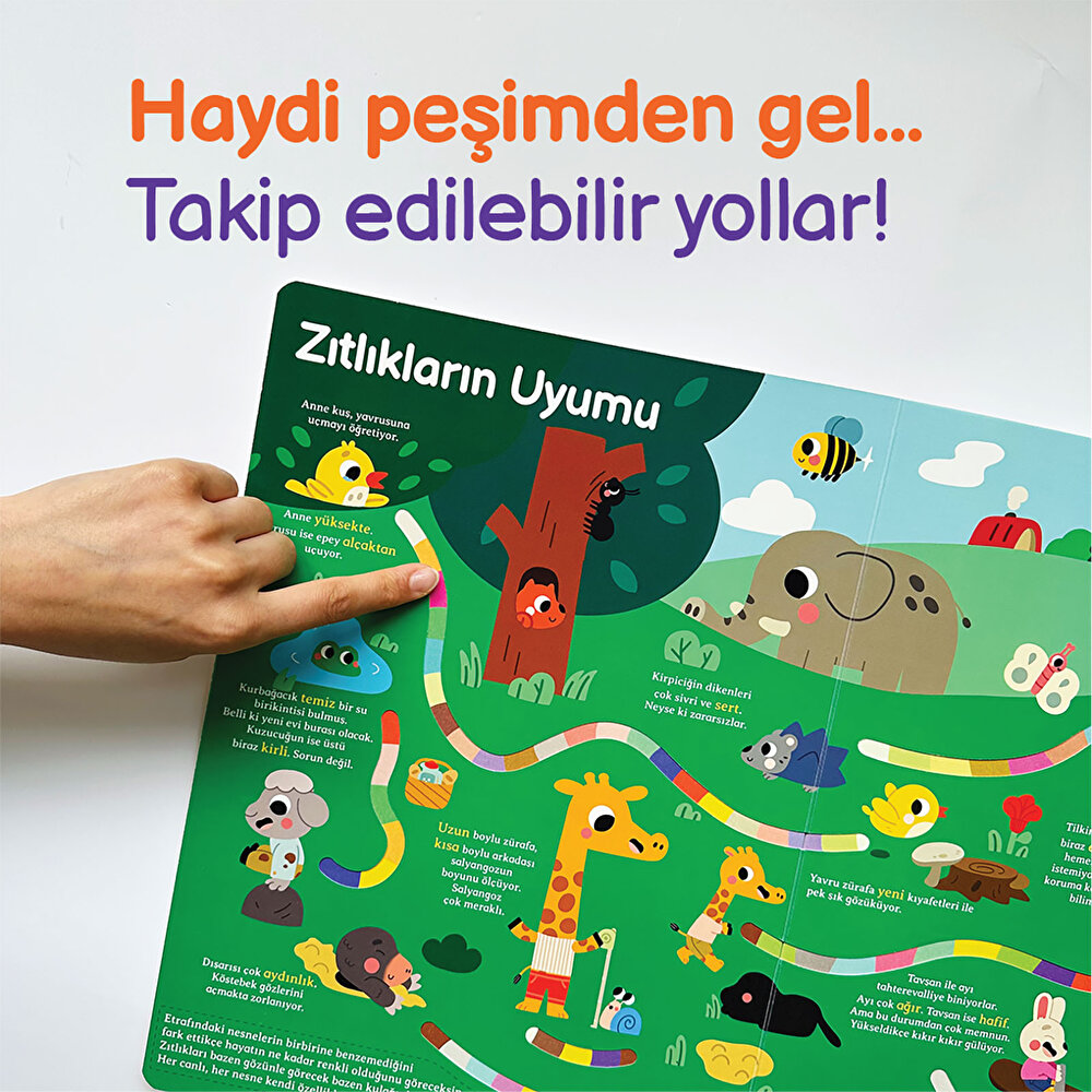 Genel Kültür Kitabım - Tanıyorum Çağrı Odabaşı