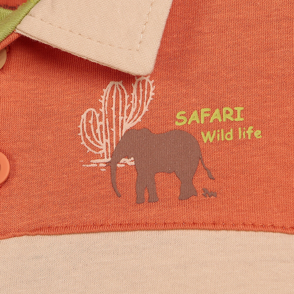 Safari Tshirt-Şort Erkek Bebek