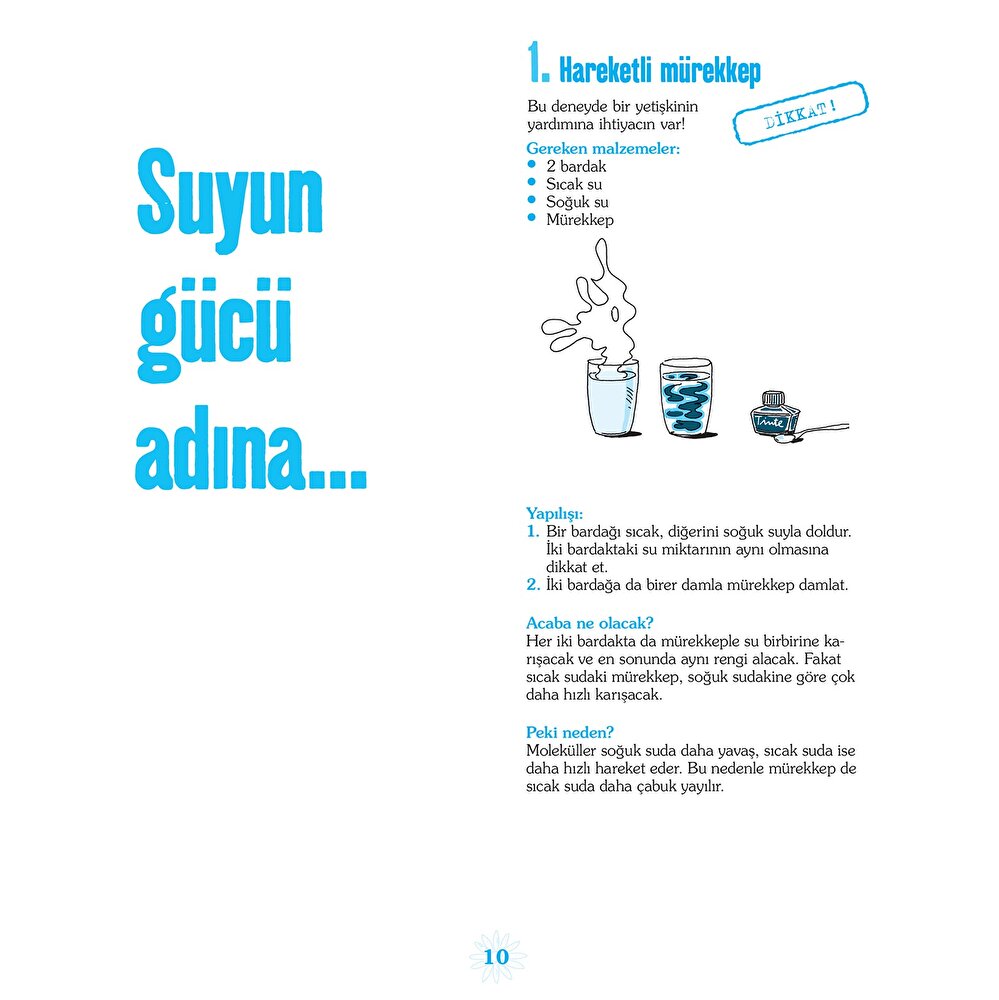 Her Güne Bir Deney