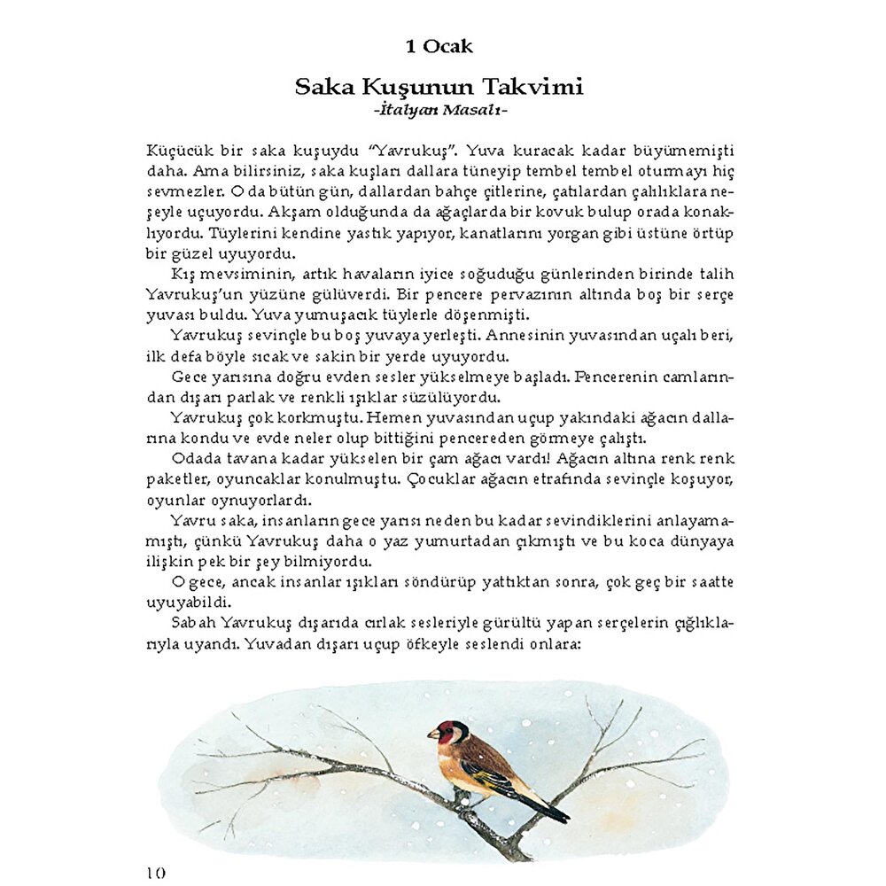 Her Güne Bir Masal