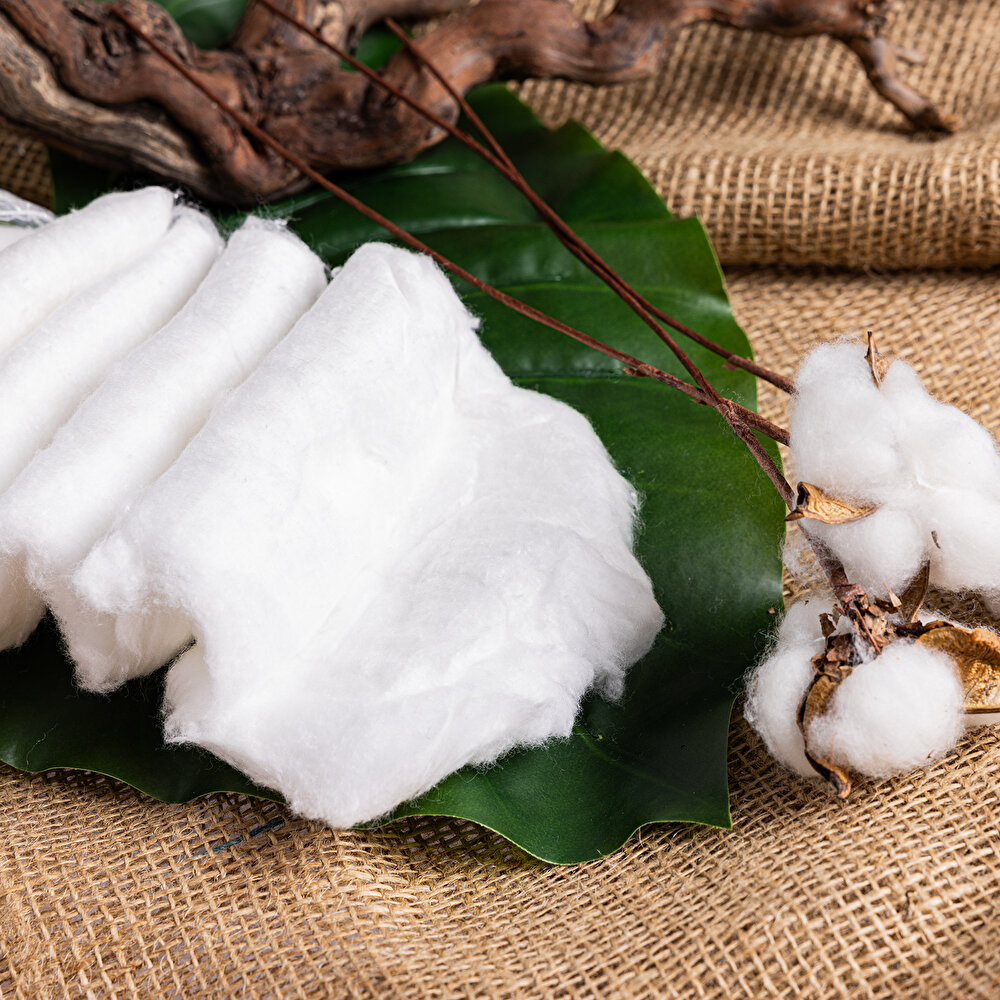 Hidrofil Pamuk 100gr