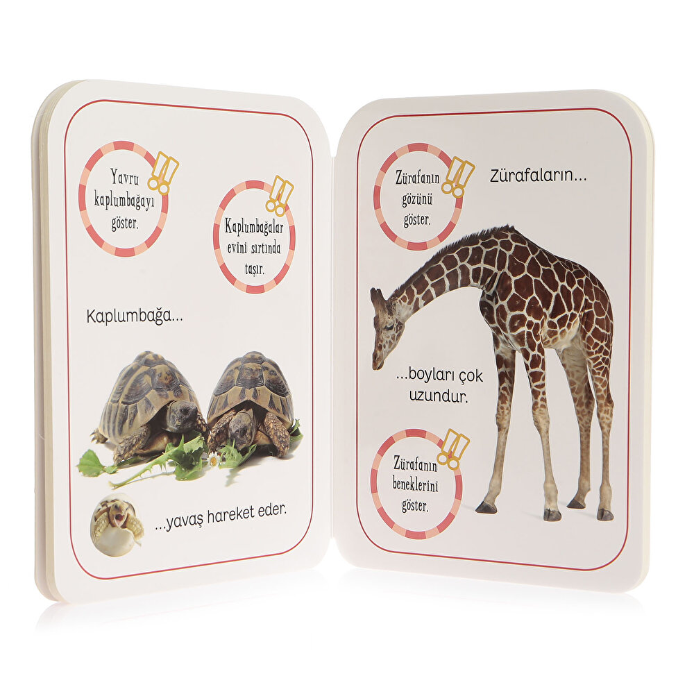 İlk Adımlar Dizisi 4lü Eğitici Bebek Kitap Seti