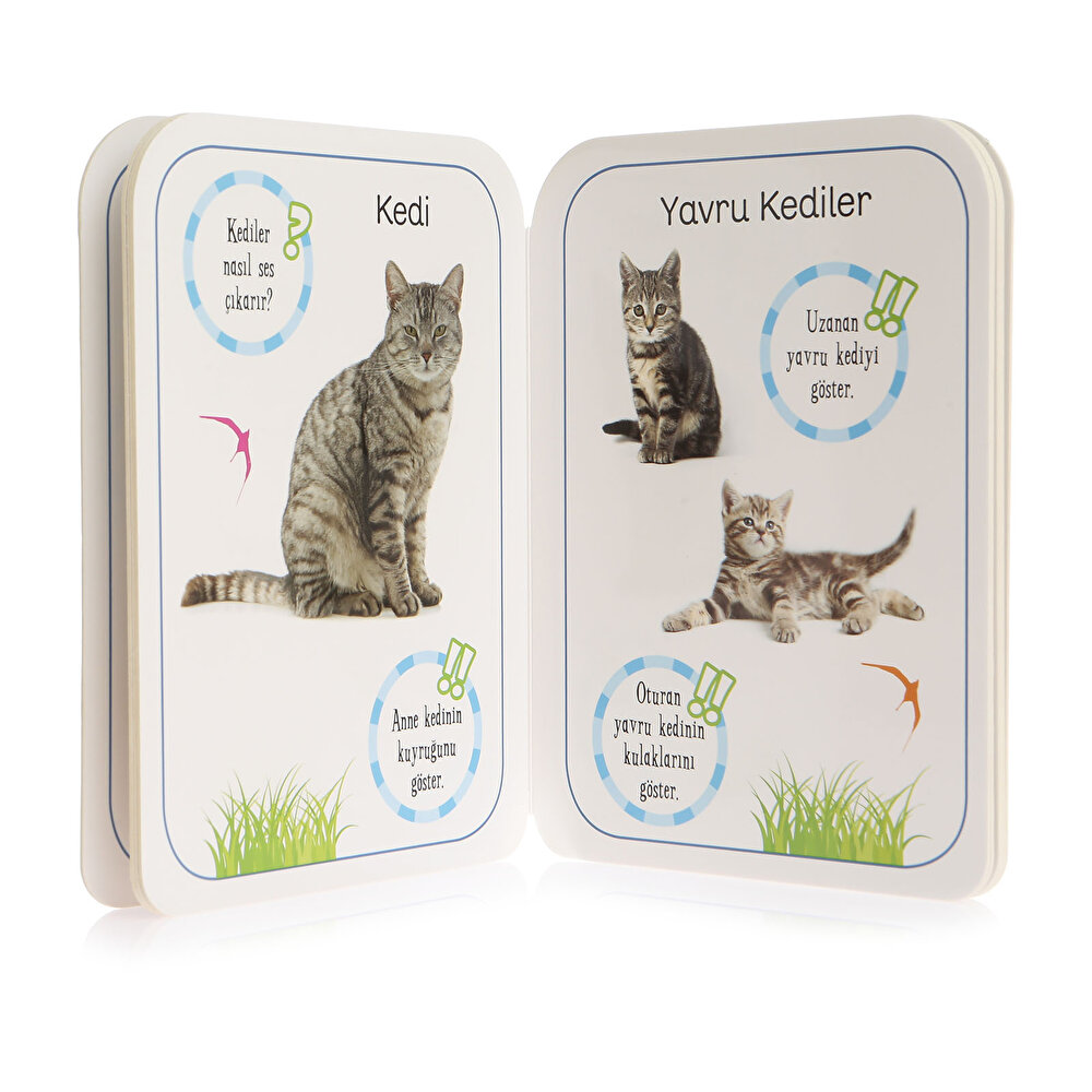 İlk Adımlar Dizisi 4lü Eğitici Bebek Kitap Seti