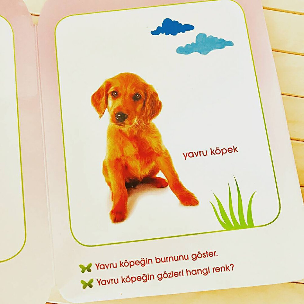 NET İlk Adımlar Dizisi Eğitici Bebek Kitabı