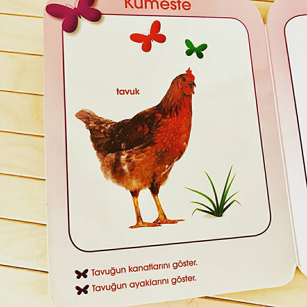 NET İlk Adımlar Dizisi Eğitici Bebek Kitabı