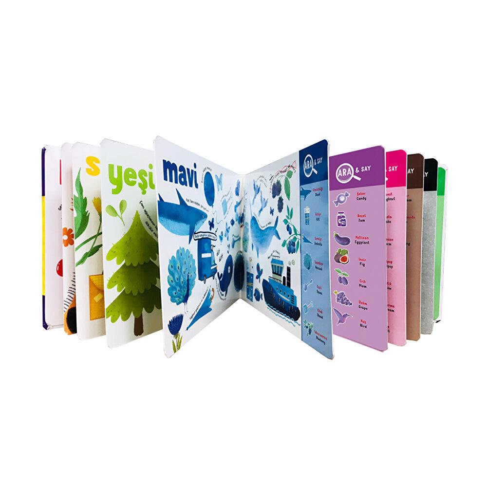 İlk Etklinlik Kitap Setim Sayılar ve Renkler 12-36 Ay