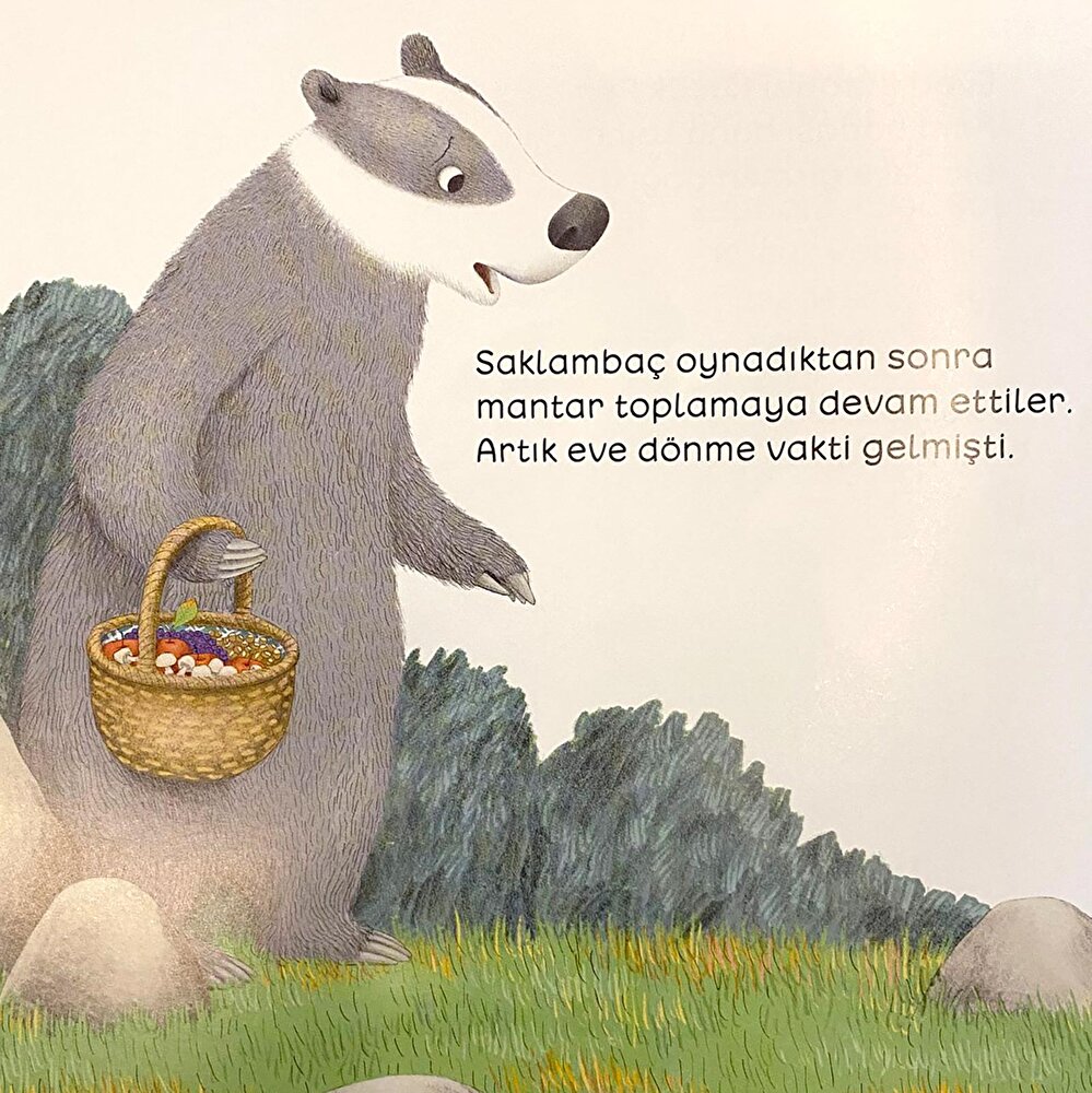 İnatçı Porsuk