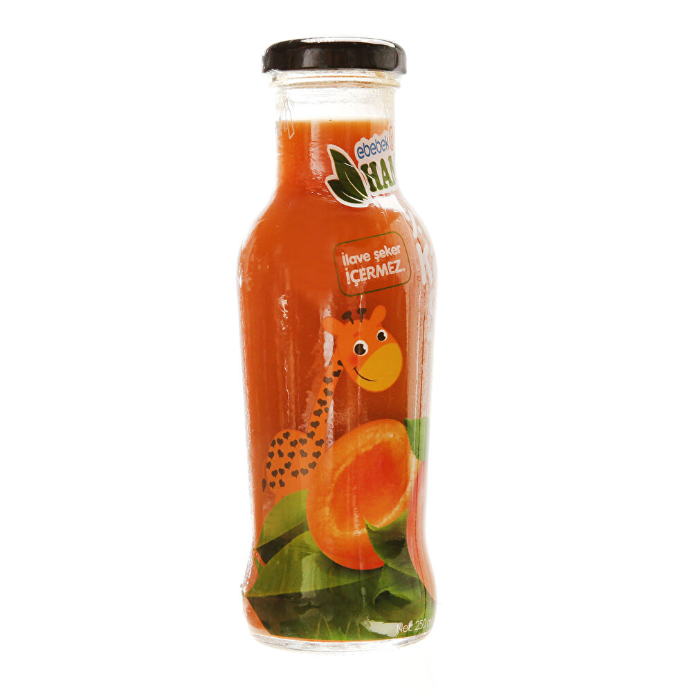 Kayısı Suyu 250 ml