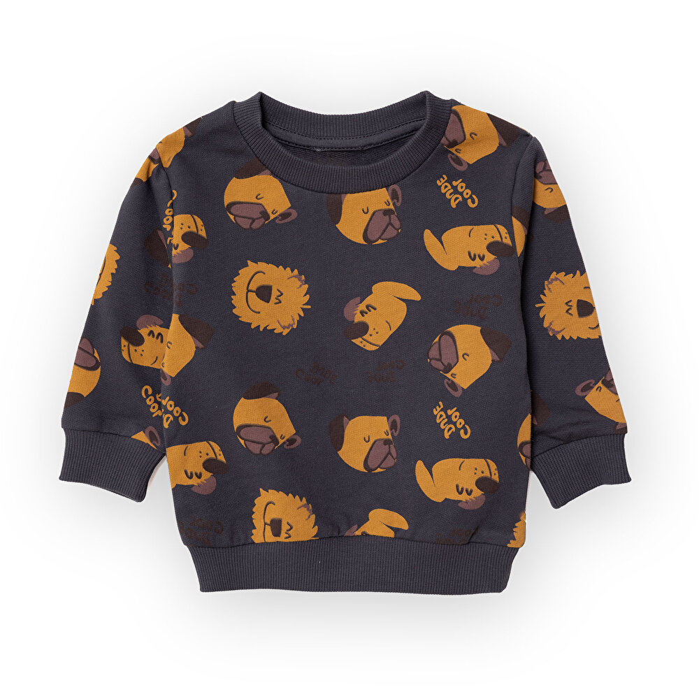 Köpek Desenli Sweatshirt Erkek Bebek