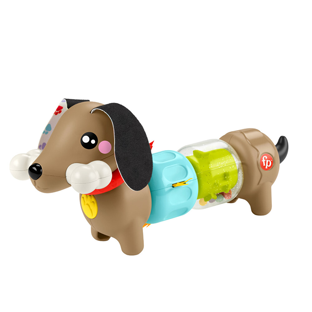 Köpekçikle Eğlenceli Aktiviteler