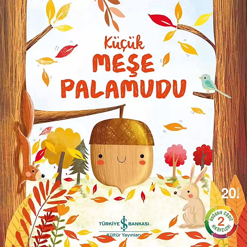 KÜÇÜK MEŞE PALAMUDU