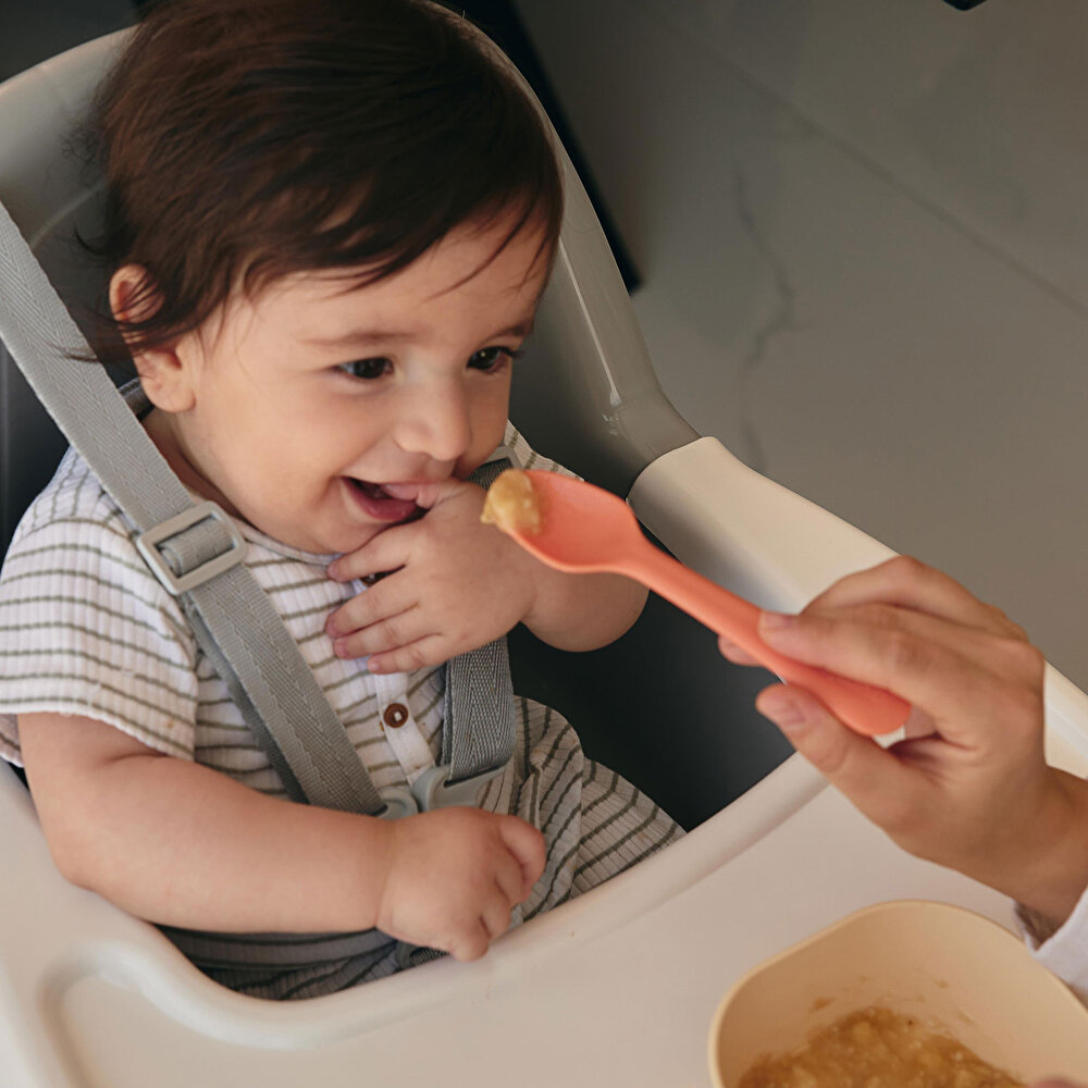 LC Kare Kase 2'li Sage Green - Vanillia