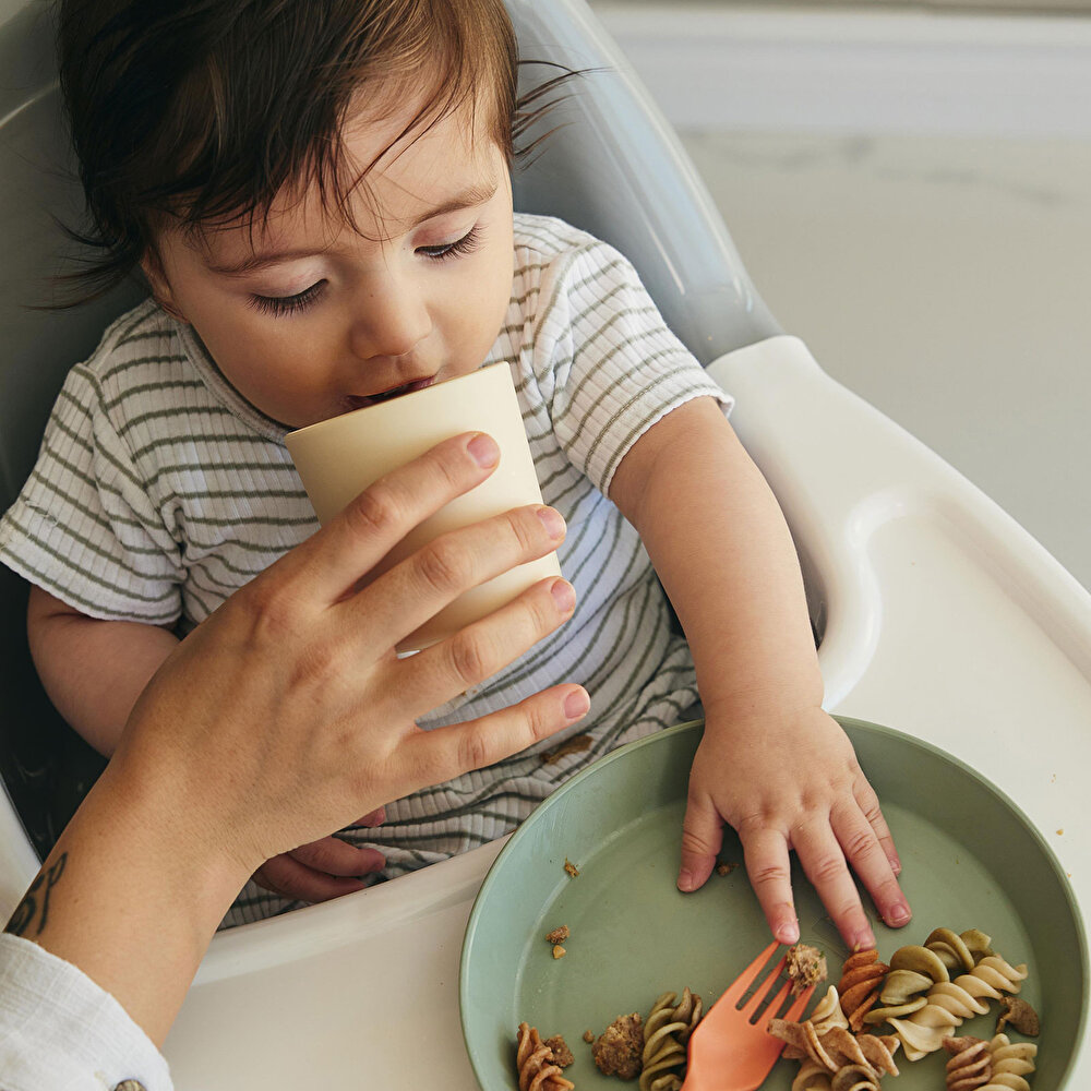 LC Yuvarlak Tabak 2'li Sage Green - Vanillia