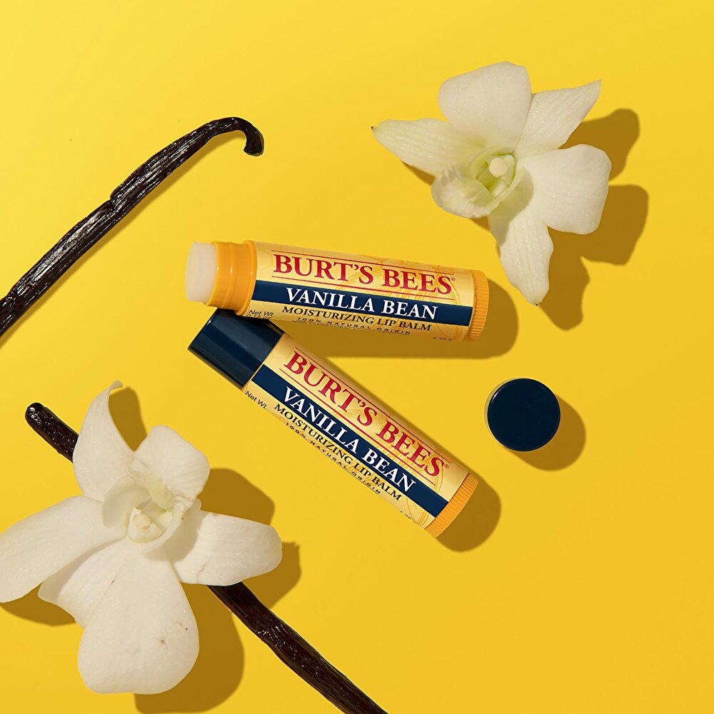 Lip Balm Blister Dudak Nemlendiricisi Vanilya