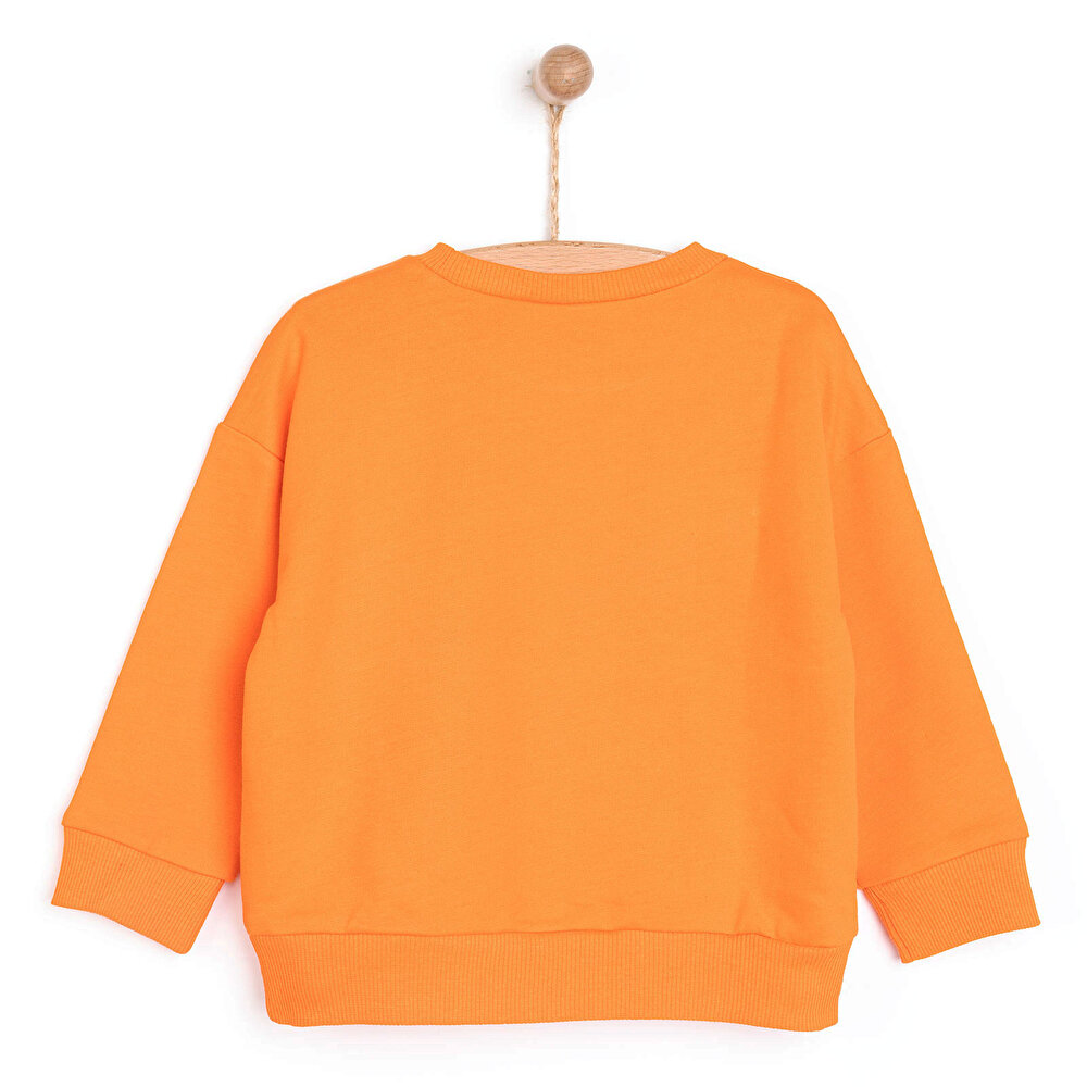 LooneyTunes Looney Tunes Erkek Sweatshirt Erkek Bebek