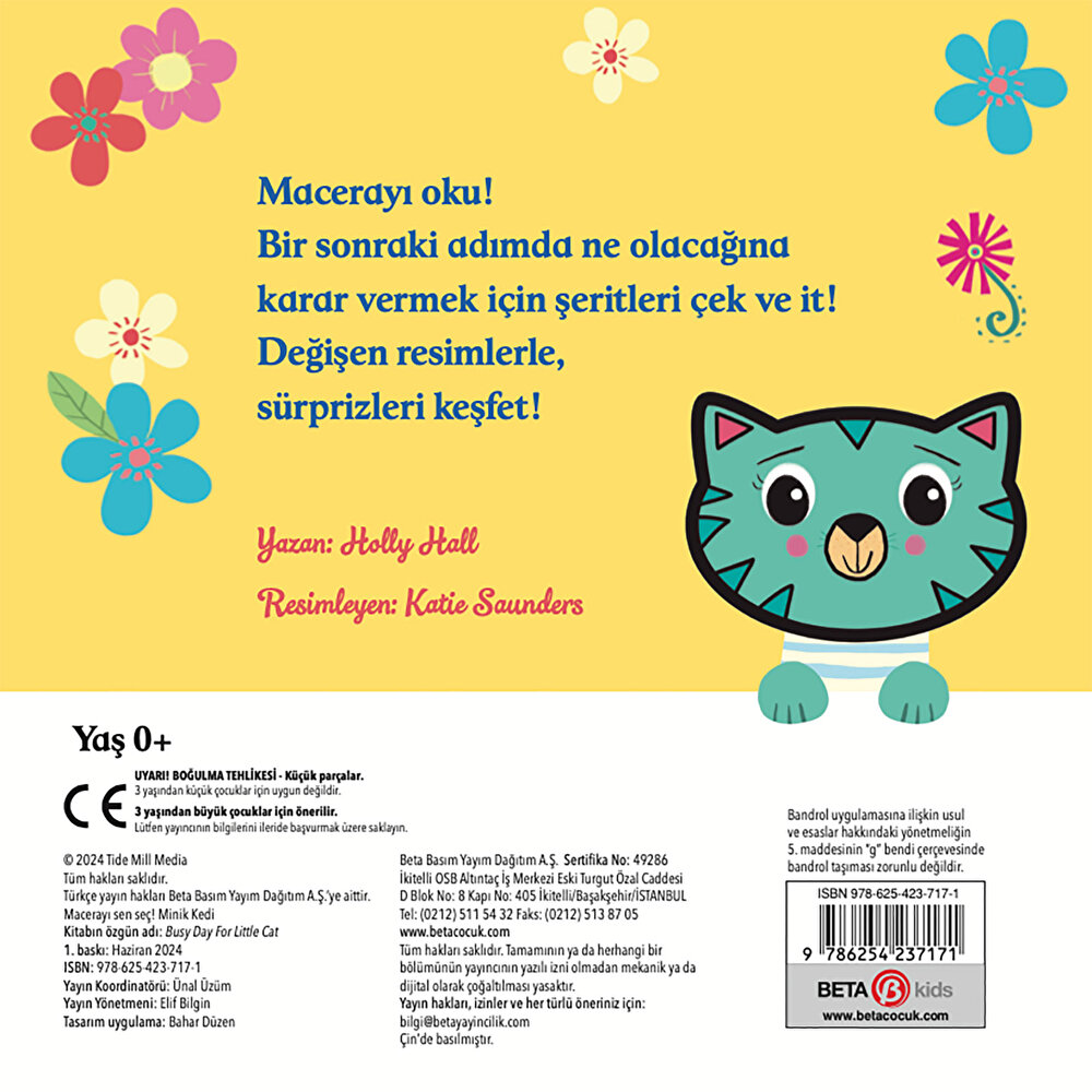 Macerayı Sen Seç Minik Kedi