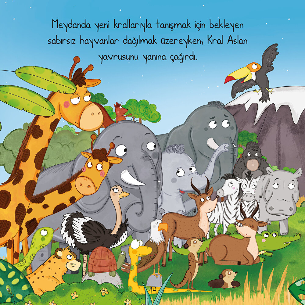 Kral Olmak İstemeyen Aslan Bebek Masal Kitabı Ezo Sunal