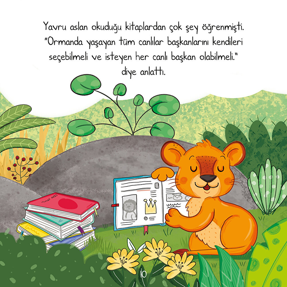 Kral Olmak İstemeyen Aslan Bebek Masal Kitabı Ezo Sunal