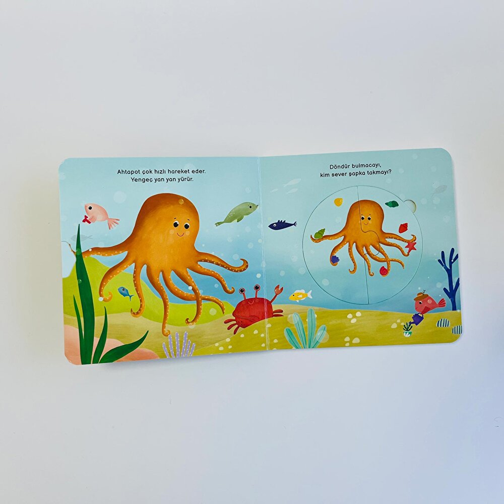 Merakımdan Soruyorum - Okyanus