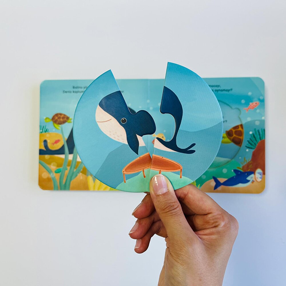 Merakımdan Soruyorum - Okyanus