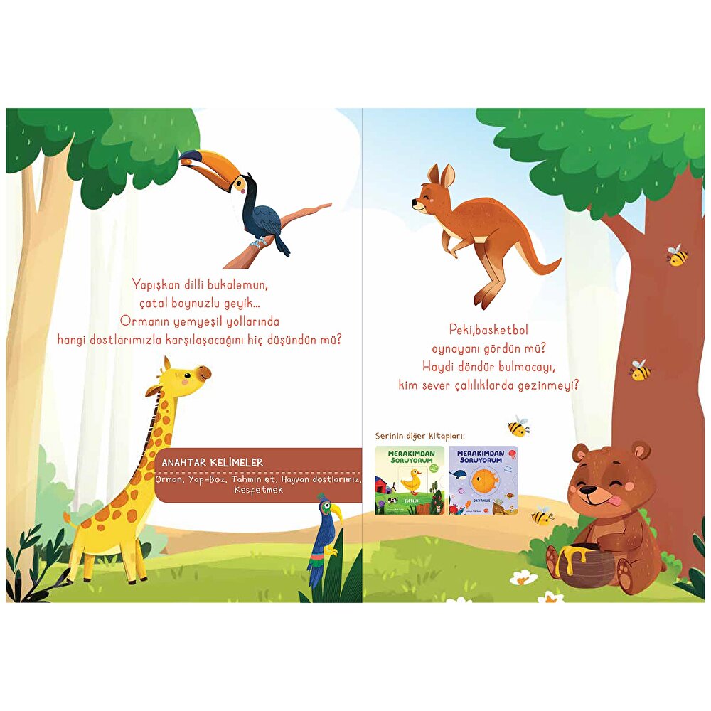 Merakımdan Soruyorum - Orman