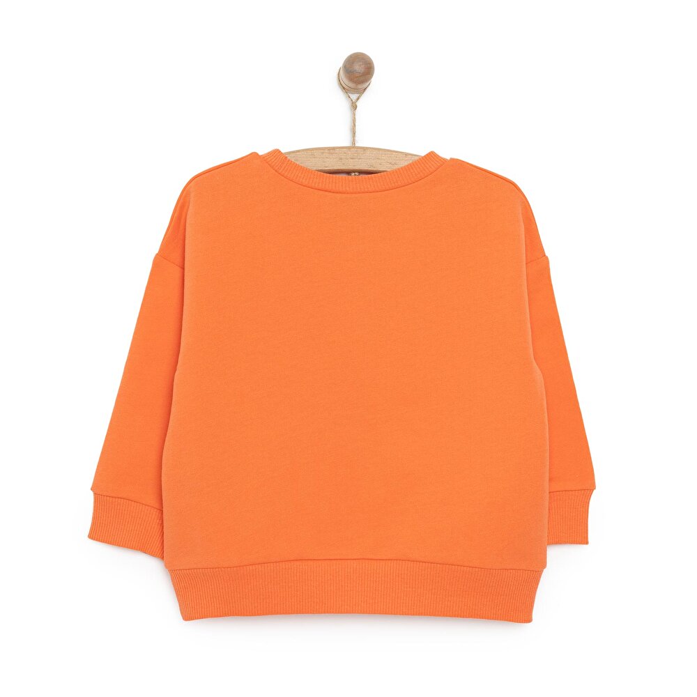 Mickey Mouse Erkek Sweatshirt Erkek Bebek